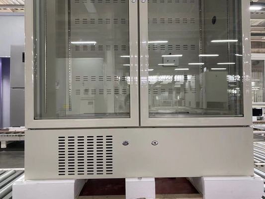 डबल ग्लास दरवाजे के साथ 2-8 डिग्री ऑटो फ्रॉस्ट 1006L क्षमता वर्टिकल फार्मेसी मेडिकल रेफ्रिजरेटर