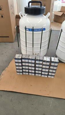 गुणवत्ता  Portable Liquid Nitrogen Dry Shipper – Safe Transport of Cells and Tissues कारखाना