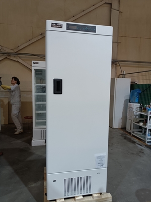 MDF-40V328E -40℃ बायोमेडिकल डीप फ्रीजर | वैक्सीन, रक्त और जैविक नमूनों के लिए 328L वर्टिकल मेडिकल फ्रीजर