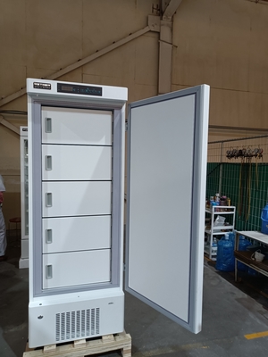 MDF-40V328E -40℃ बायोमेडिकल डीप फ्रीजर | वैक्सीन, रक्त और जैविक नमूनों के लिए 328L वर्टिकल मेडिकल फ्रीजर